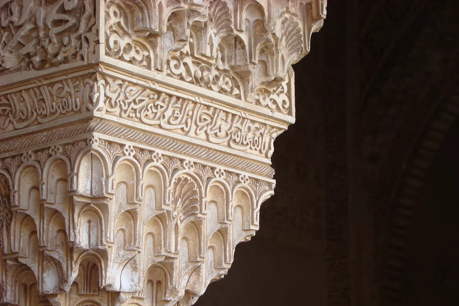 Arabic Language Courses