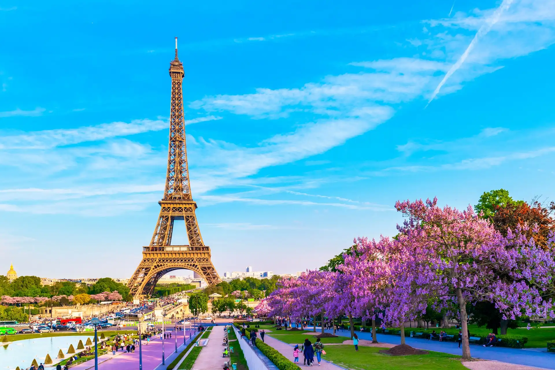 French Language Courses