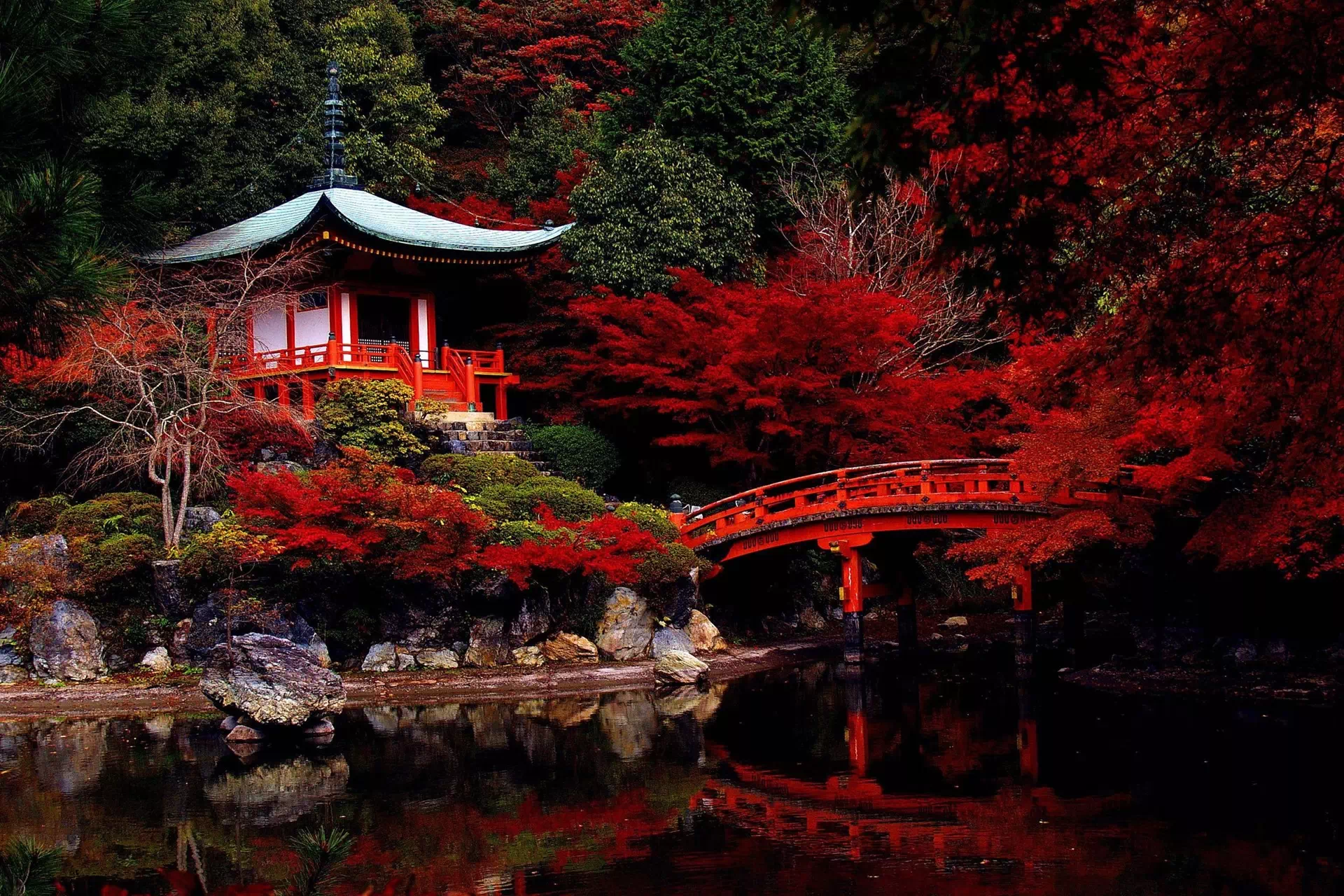 Japanese Language Courses