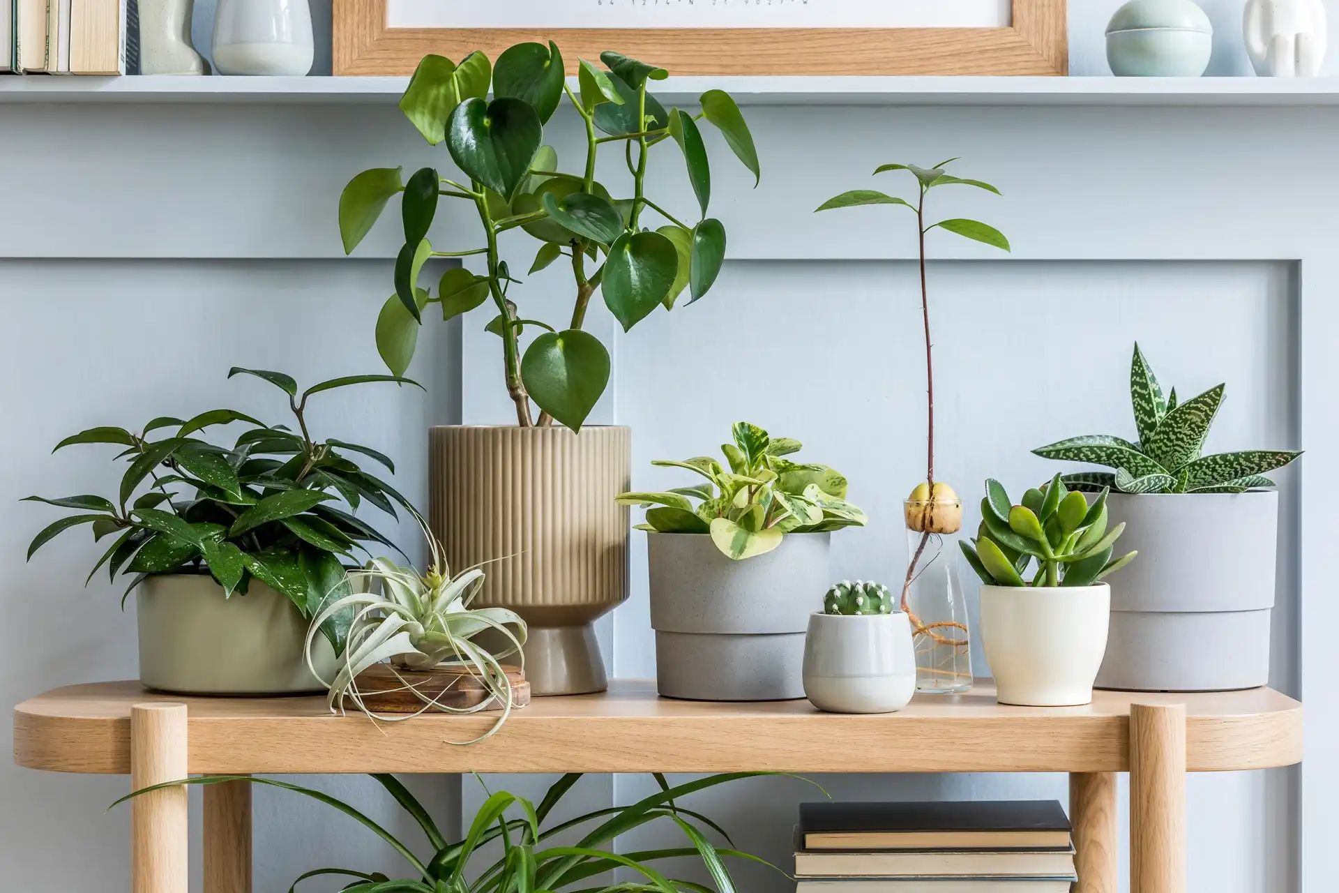 Gardening Courses