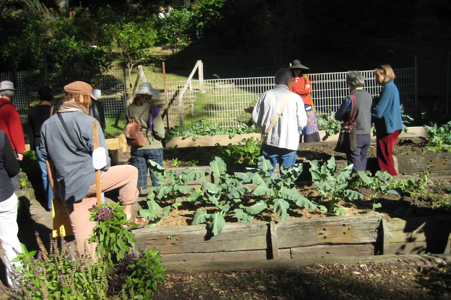 Gardening Courses