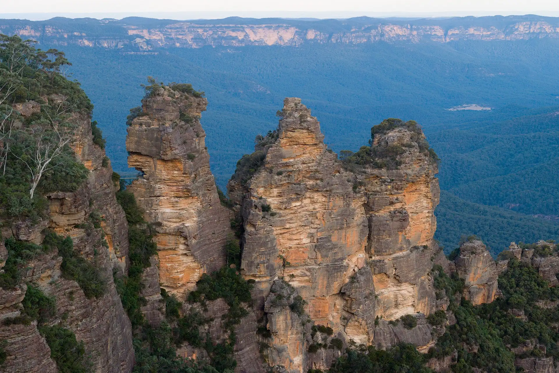 Australian History Courses