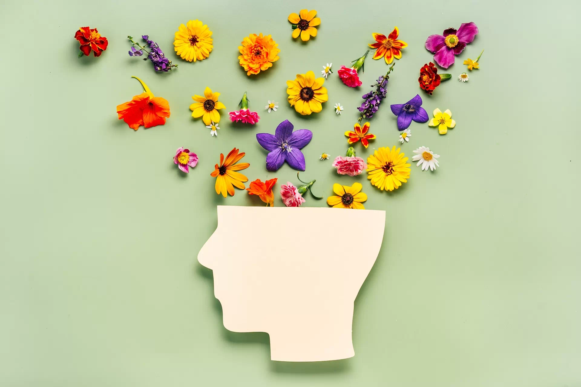 Wellbeing Courses