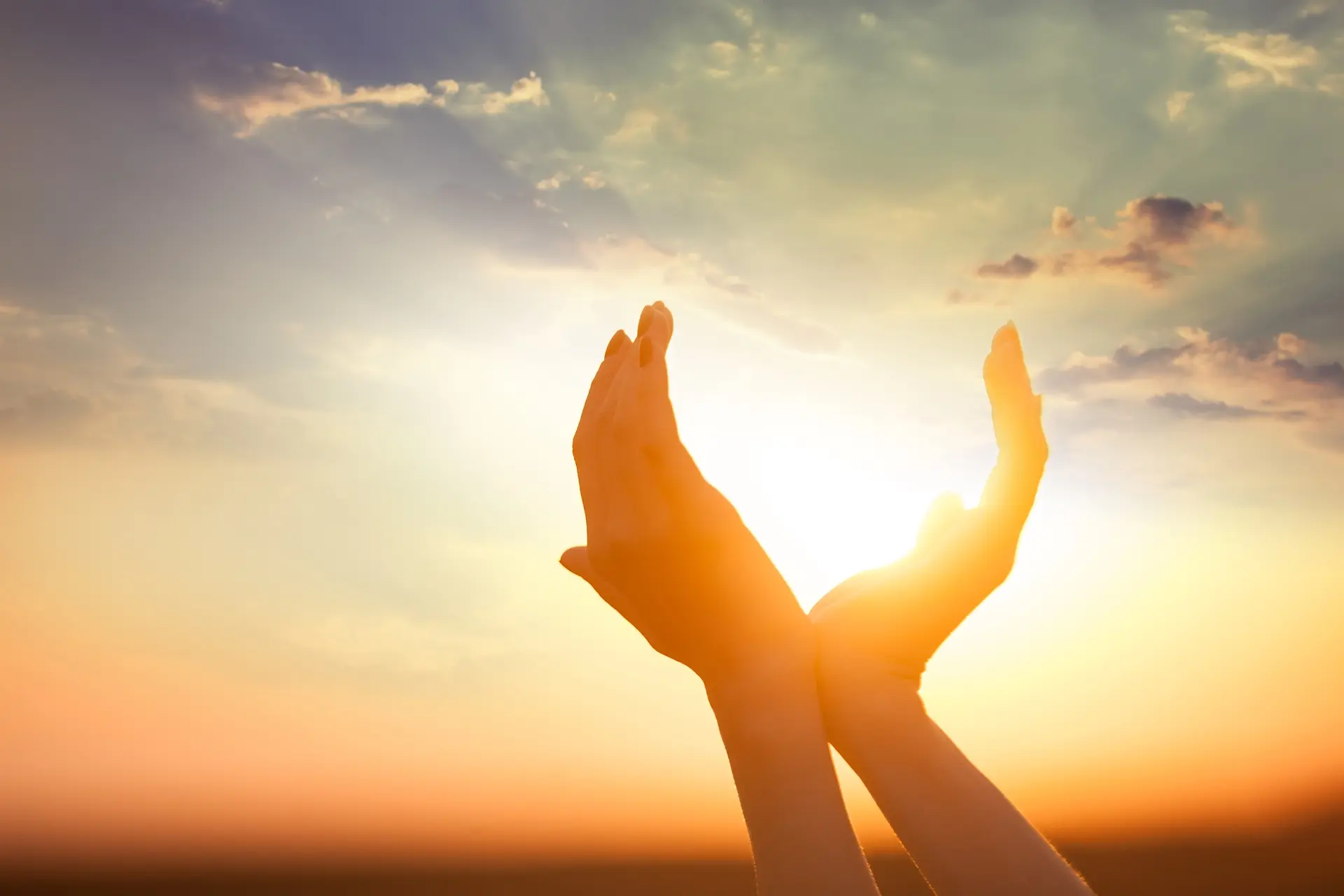 Wellbeing Courses